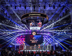 REYN AUDIO揚(yáng)聲器