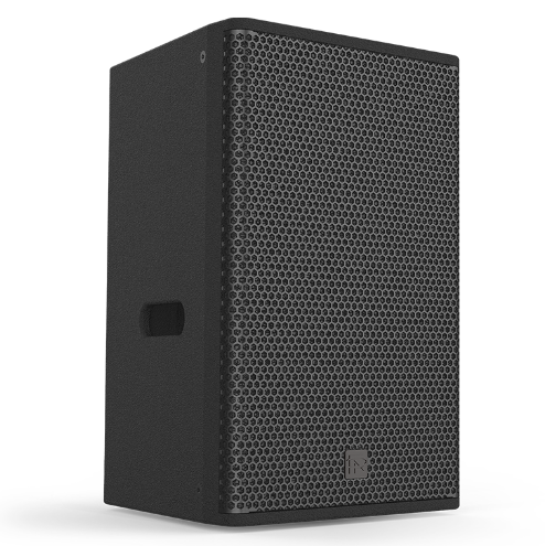 REYN AUDIO RA15F 單15寸點(diǎn)聲源揚(yáng)聲器 