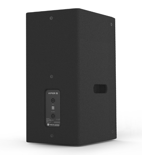 REYN AUDIO RA15F 單15寸點(diǎn)聲源揚(yáng)聲器 
